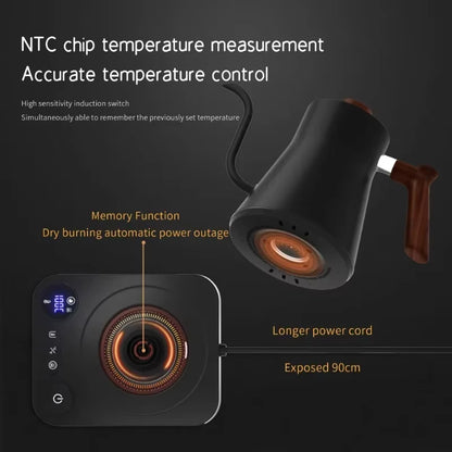 Electric Gooseneck Kettle 900ML – Temperature Control